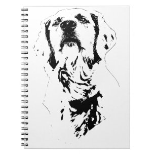 Line Study, Calm Journal