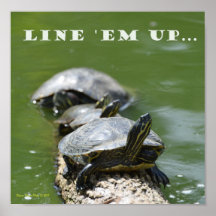 Line Up the Turtles
