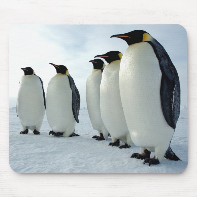 Lined up Emperor Penguins Mouse Mat (Front)