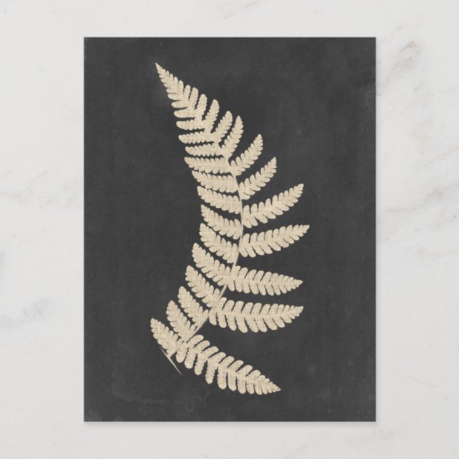 Linen Fern Postcard (Front)