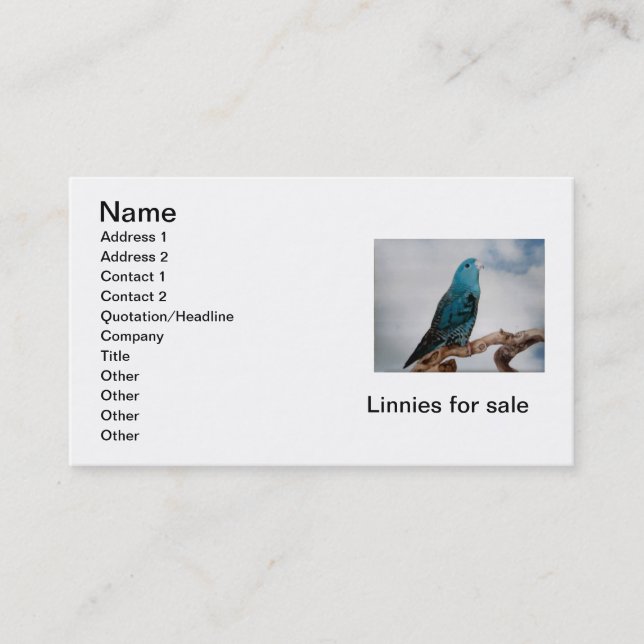 Lineolated Parakeet Business Card (Front)