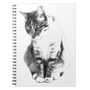 Lines of Quiet Grace Notebook