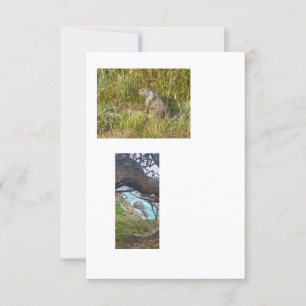 linked template images