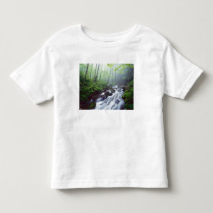 Linn Cove Creek cascading through foggy Toddler T-Shirt