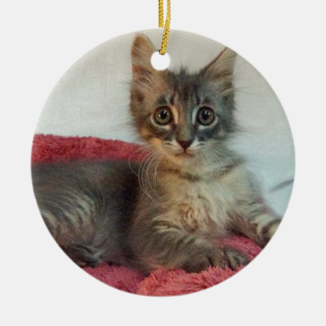 Linus Ceramic Tree Decoration (Front)