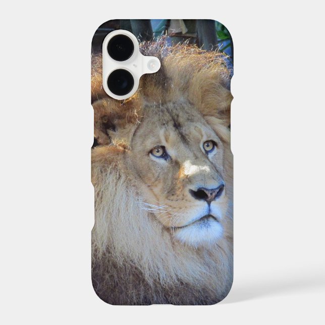 lion (Back)