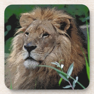 Lion20150805 Coaster