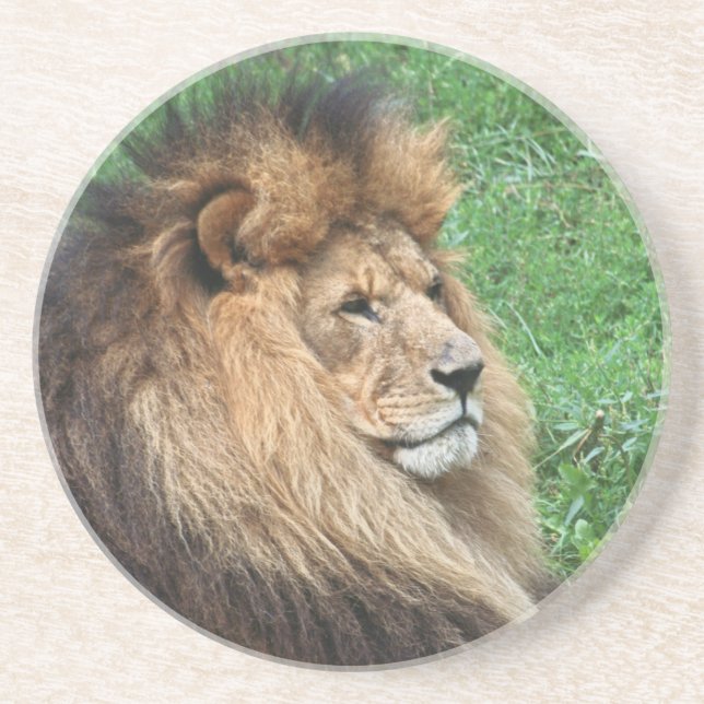 Lion 001 coaster (Front)