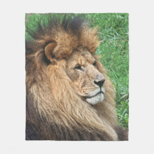 Lion 001 fleece blanket