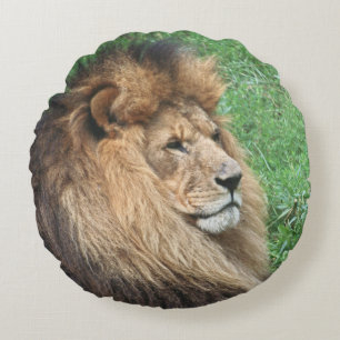 Lion 001 round cushion