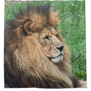 Lion 001 shower curtain