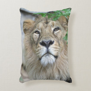 Lion 002 decorative cushion