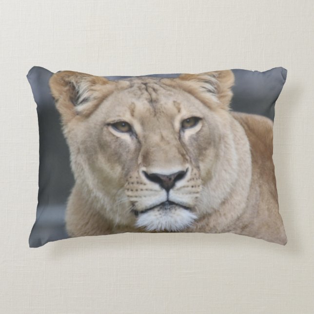 Lion 004 decorative cushion (Front)