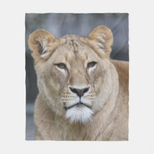 Lion 004 fleece blanket