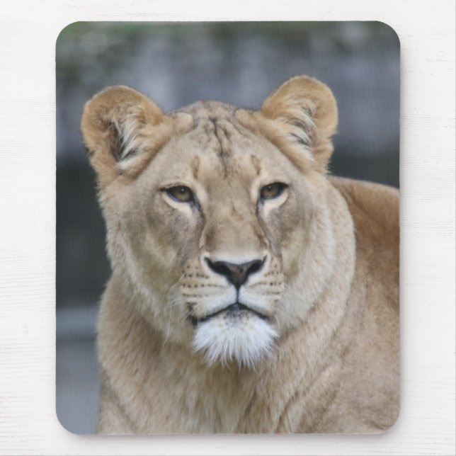 Lion 004 mouse mat (Front)