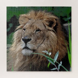Lion 008 by JAMFoto Jigsaw Puzzle