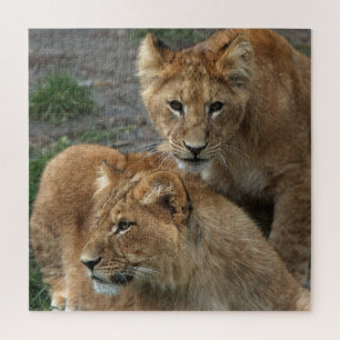 Lion 011 by JAMFoto Jigsaw Puzzle