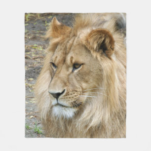 Lion 011 fleece blanket