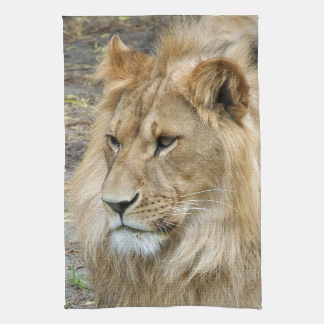 Lion 011 tea towel (Vertical)