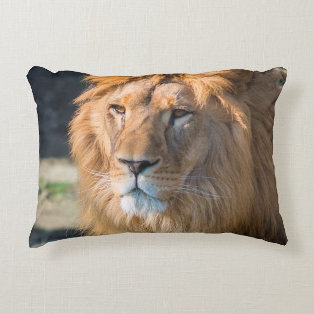 Lion 013 decorative cushion (Front)