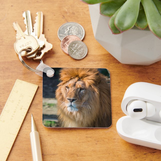 Lion 013 key ring (Desk)