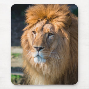 Lion 013 mouse mat