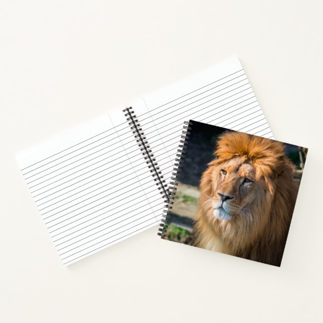 Lion 013 notebook (Inside)