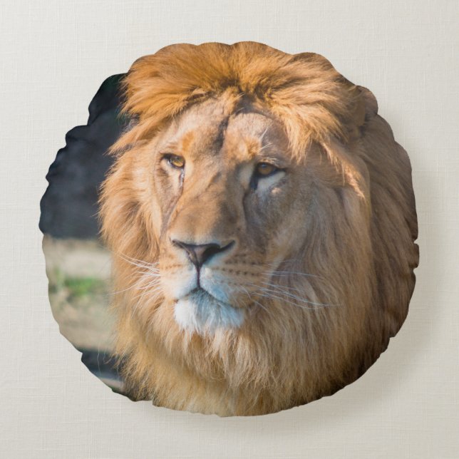 Lion 013 round cushion (Front)