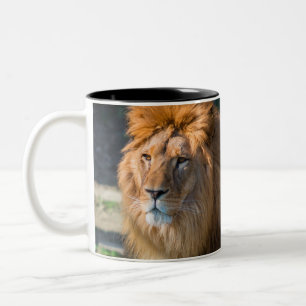 Lion 013 Two-Tone coffee mug