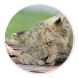 Lion 014 ceramic knob