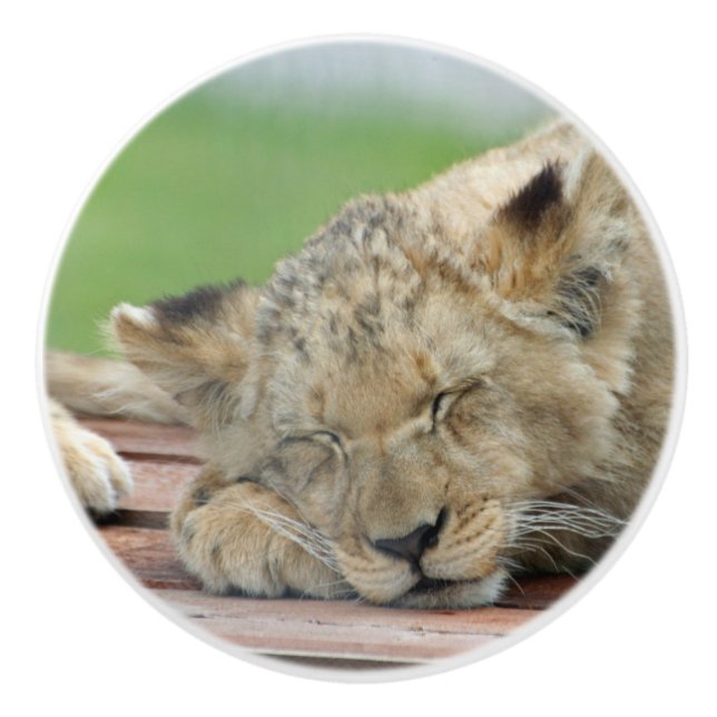 Lion 014 ceramic knob (Front)