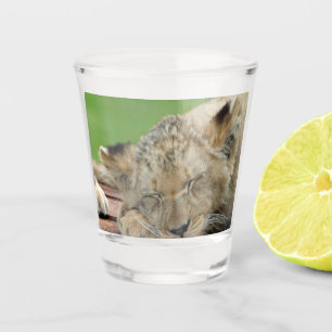 Lion 014 shot glass