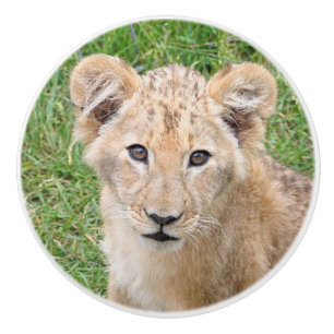 Lion 016 ceramic knob