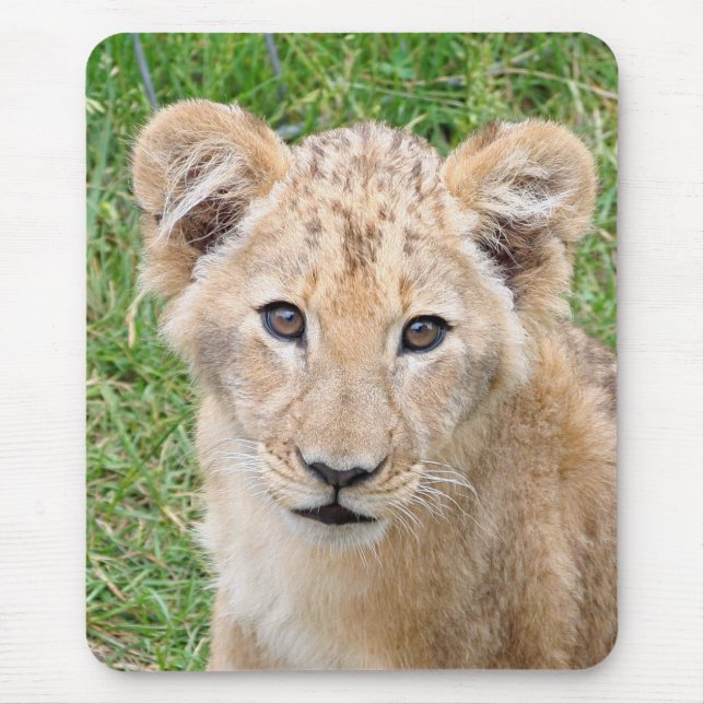 Lion 016 mouse mat (Front)