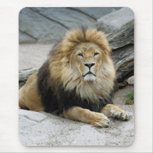 Lion 020 mouse mat
