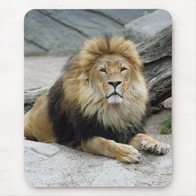 Lion 020 mouse mat (Front)