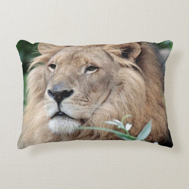 Lion 021 decorative cushion (Front)