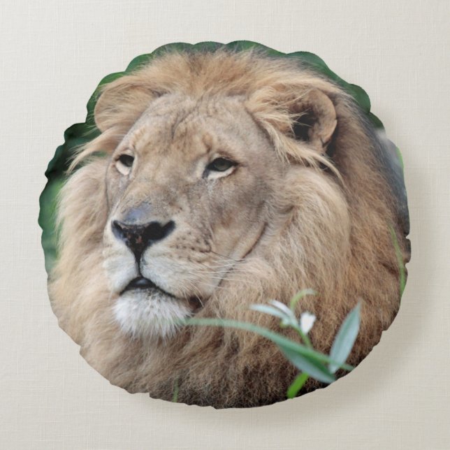 Lion 021 round cushion (Front)