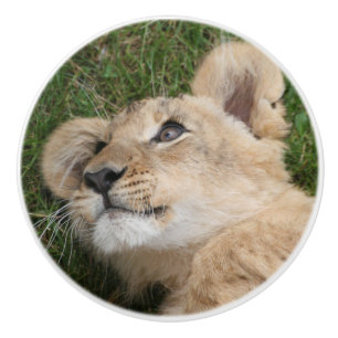 Lion 022 ceramic knob