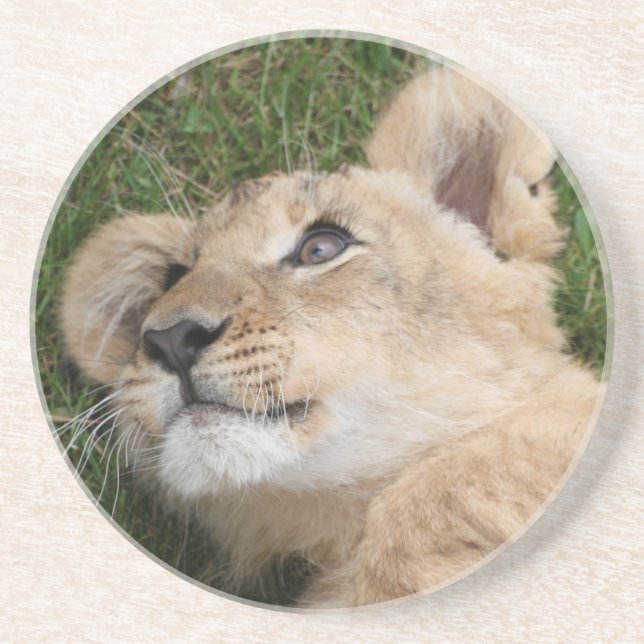 Lion 022 coaster (Front)