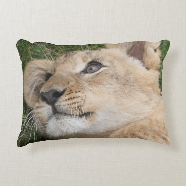 Lion 022 decorative cushion (Front)