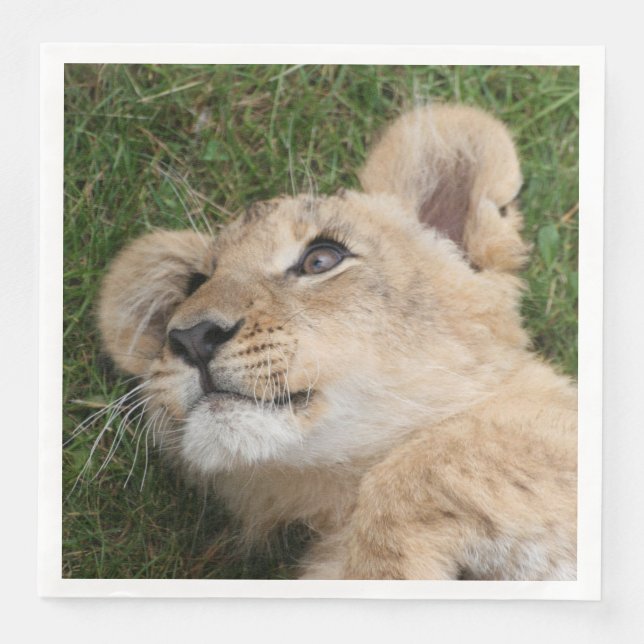 Lion 022 napkin (Front)