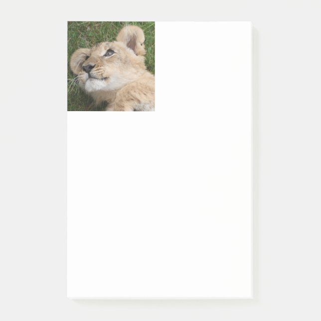 Lion 022 post-it notes (Front)