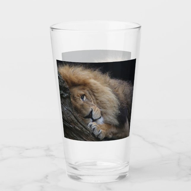 Lion 030 glass (Front)