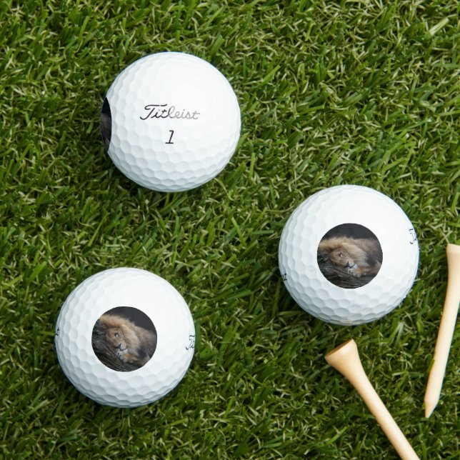 Lion 030 golf balls (Insitu Grass)