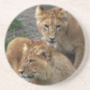 Lion 033 coaster