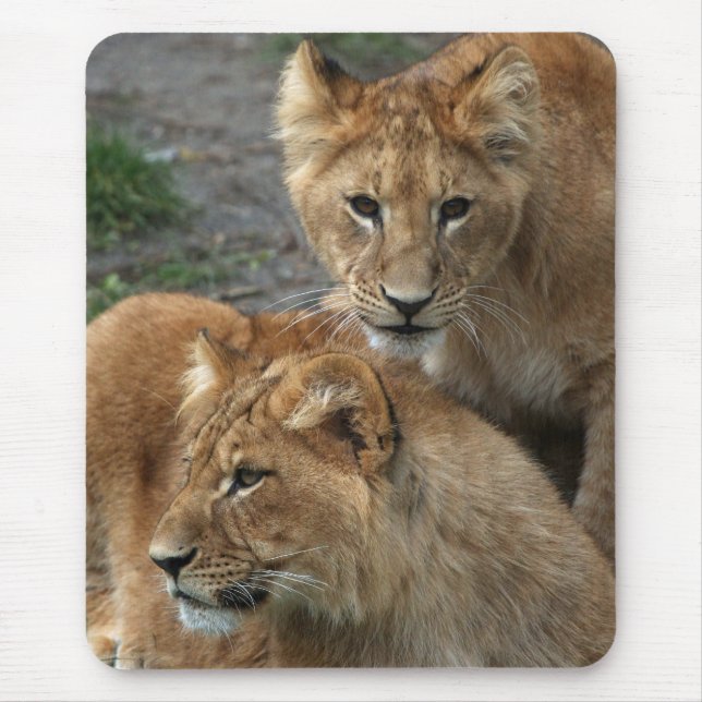 Lion 033 mouse mat (Front)