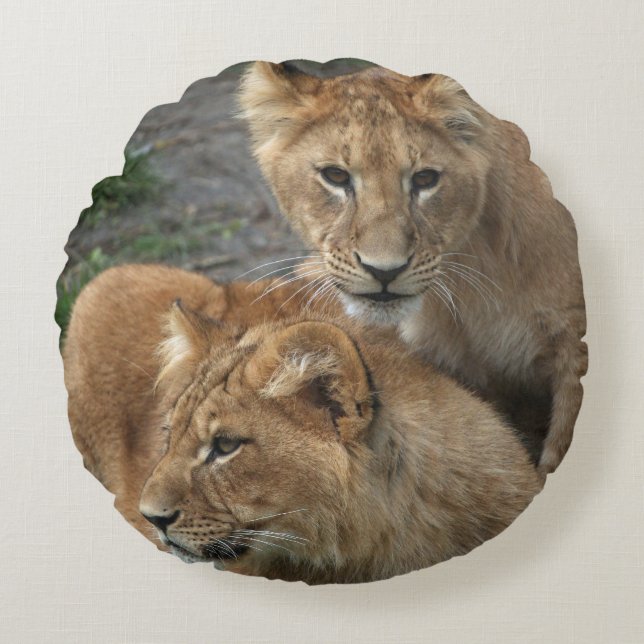 Lion 033 round cushion (Front)
