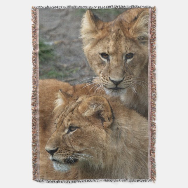 Lion 033 throw blanket (Front Vertical)