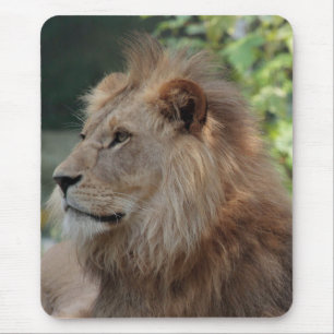 Lion 035 mouse mat